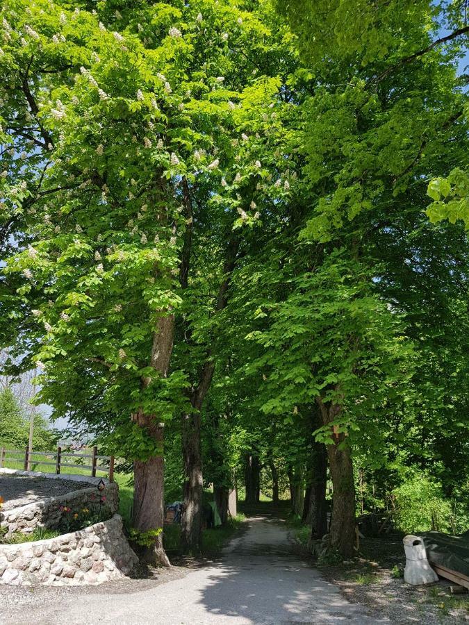 Villa Im Wald Roßhaupten エクステリア 写真